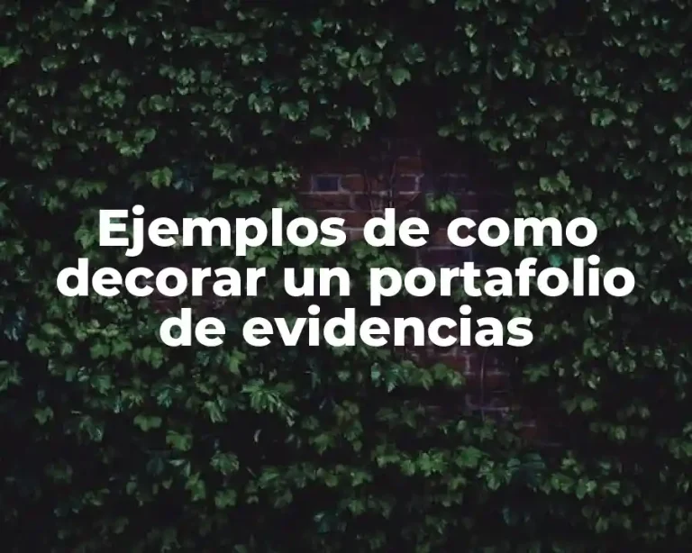 Ejemplos de como decorar un portafolio de evidencias