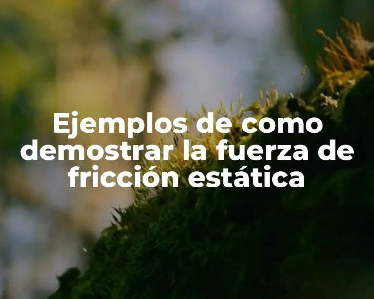 Ejemplos de como demostrar la fuerza de fricción estática
