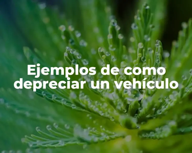 Ejemplos de como depreciar un vehículo