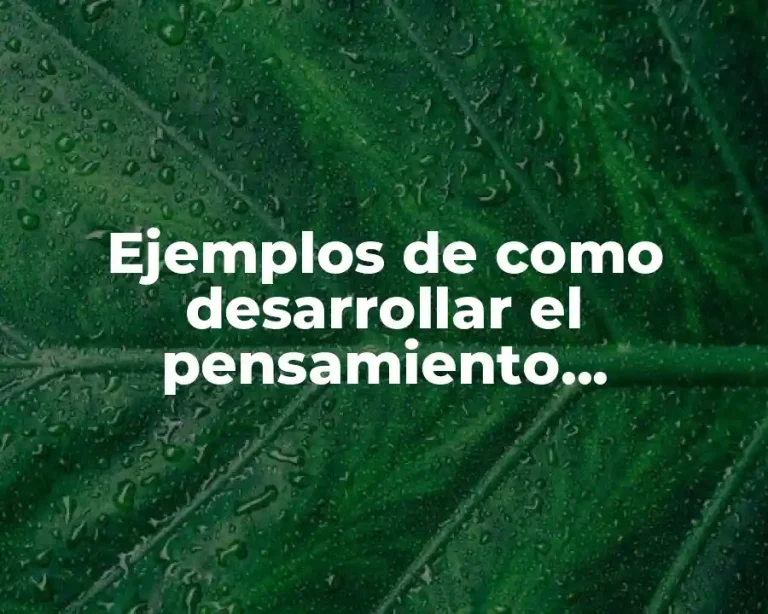 Ejemplos de como desarrollar el pensamiento matemático