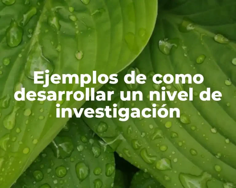 Ejemplos de como desarrollar un nivel de investigación