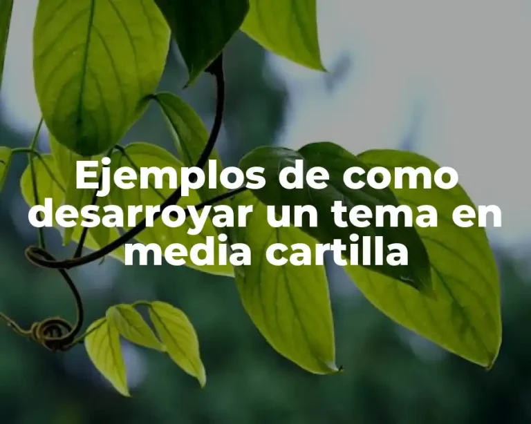 Ejemplos de como desarroyar un tema en media cartilla