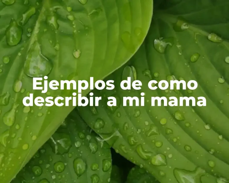 Ejemplos de como describir a mi mama
