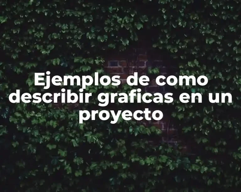 Ejemplos de como describir graficas en un proyecto