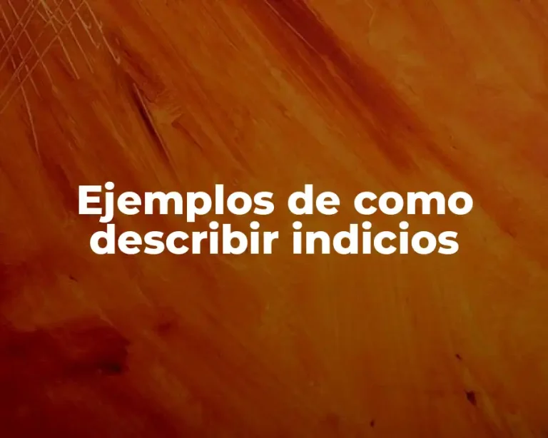 Ejemplos de como describir indicios