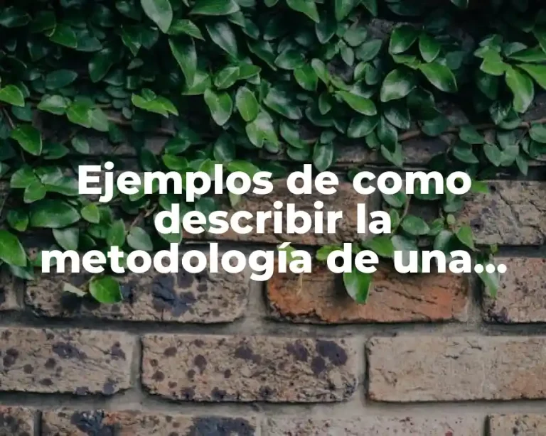 Ejemplos de como describir la metodología de una tesis