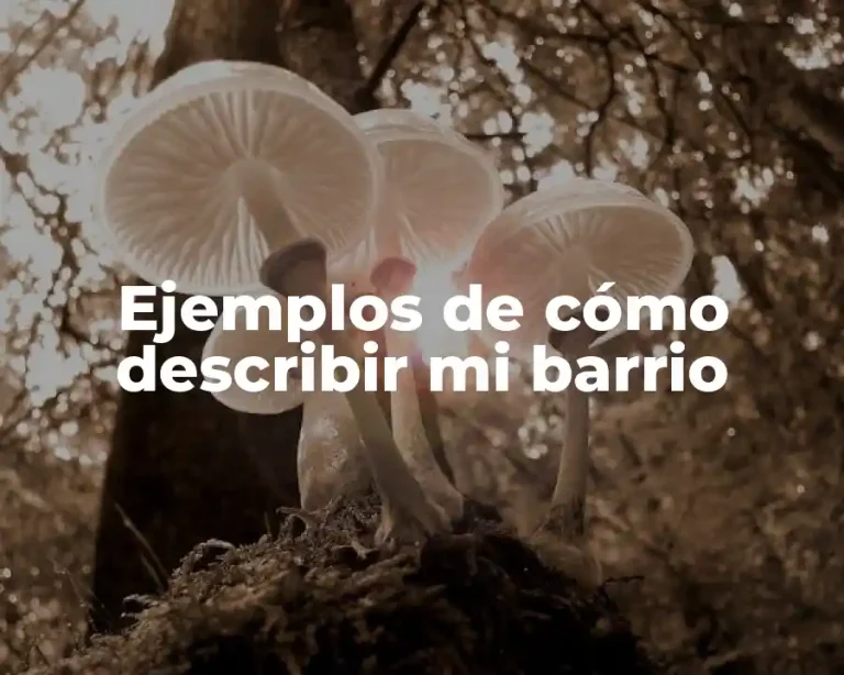 Ejemplos de cómo describir mi barrio