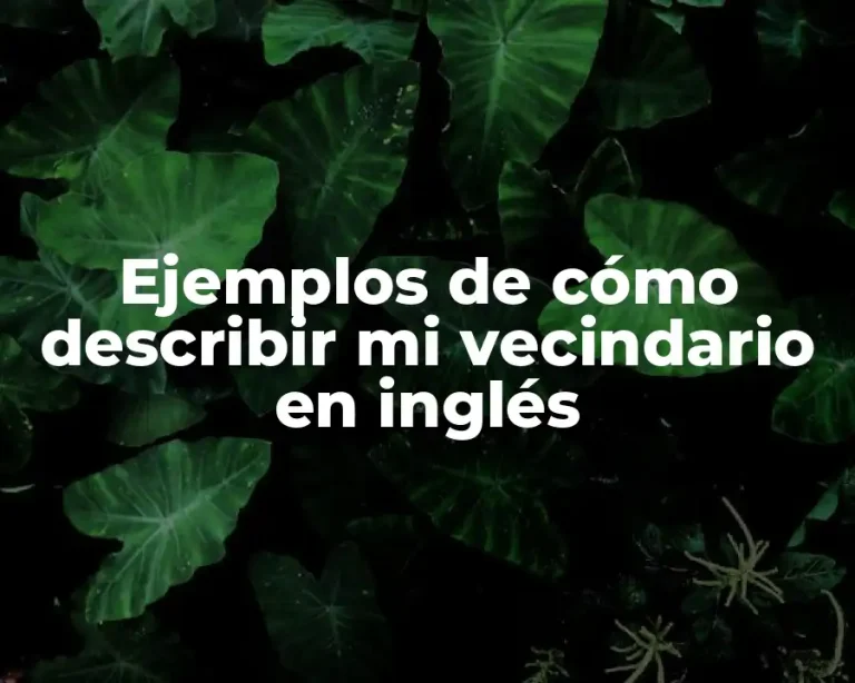 Ejemplos de cómo describir mi vecindario en inglés