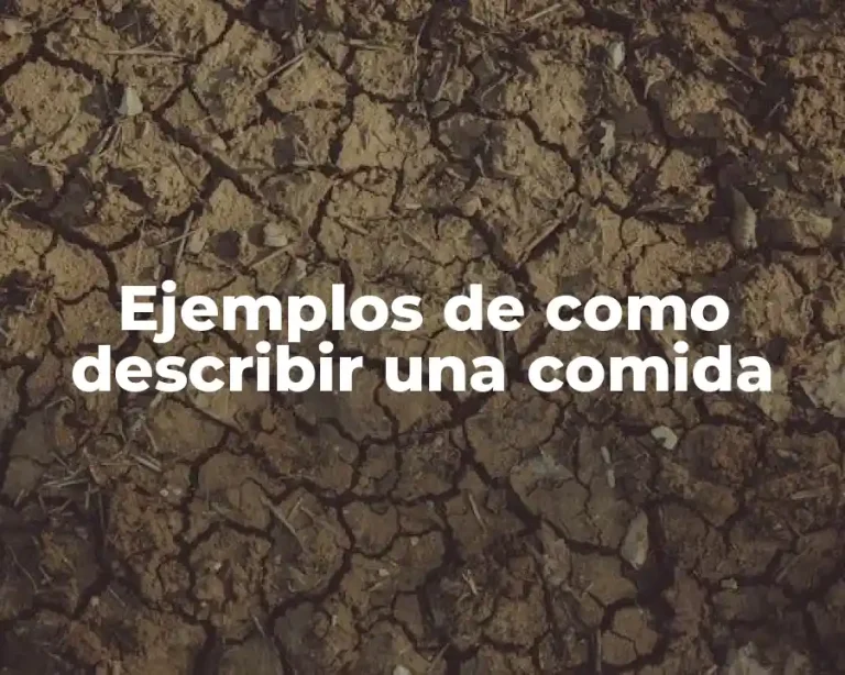 Ejemplos de como describir una comida