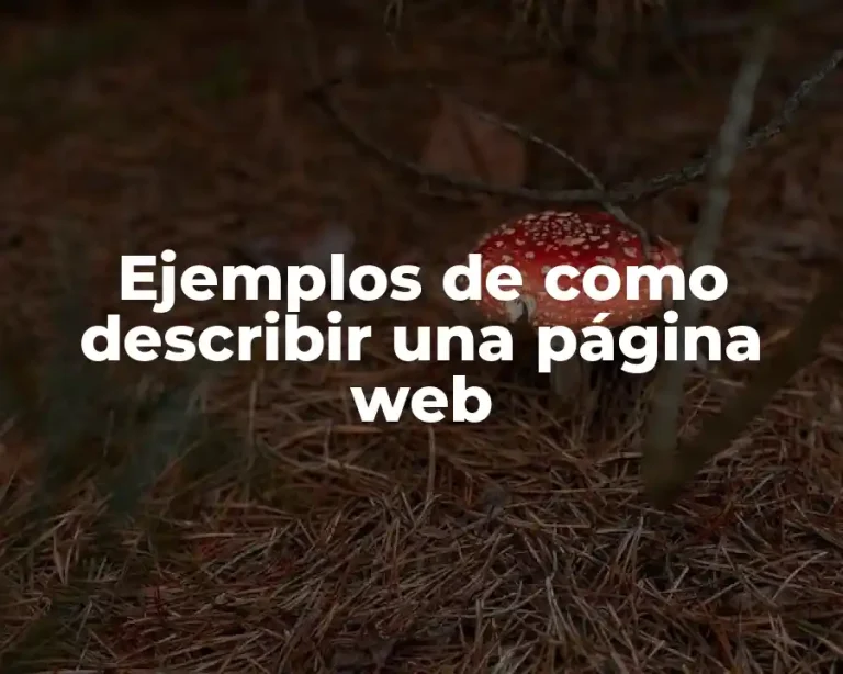 Ejemplos de como describir una página web