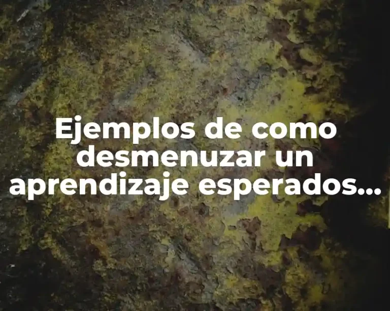 Ejemplos de como desmenuzar un aprendizaje esperados artes preescolar