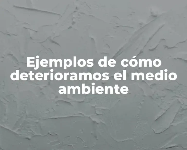 Ejemplos de cómo deterioramos el medio ambiente