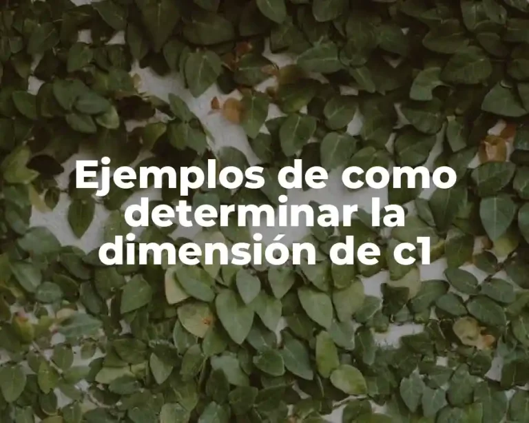 Ejemplos de como determinar la dimensión de c1
