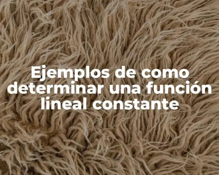 Ejemplos de como determinar una función lineal constante