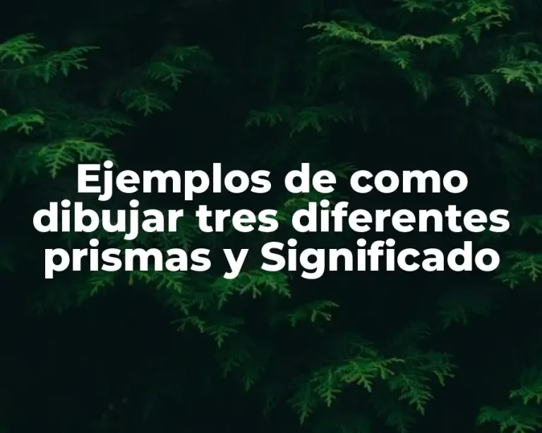 Ejemplos de como dibujar tres diferentes prismas y Significado