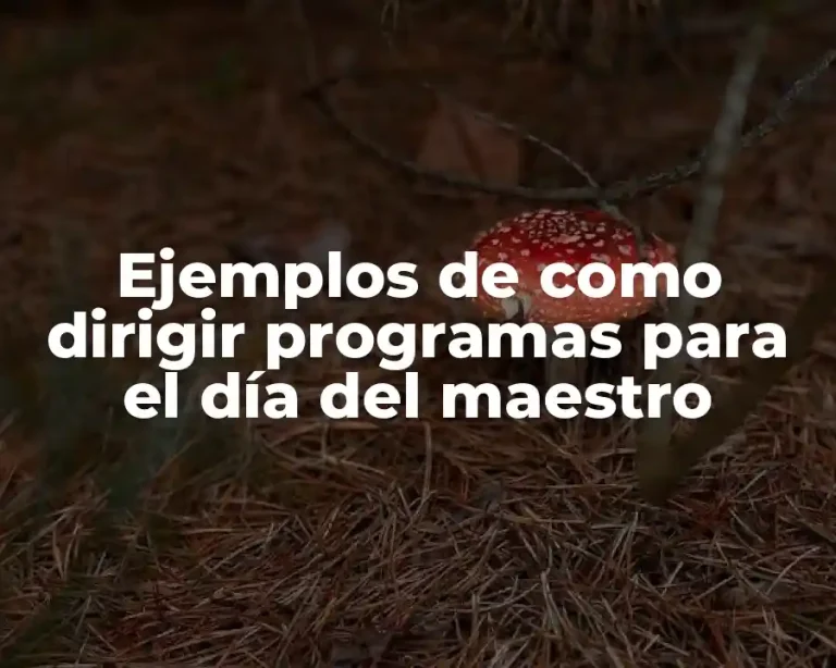 Ejemplos de como dirigir programas para el día del maestro