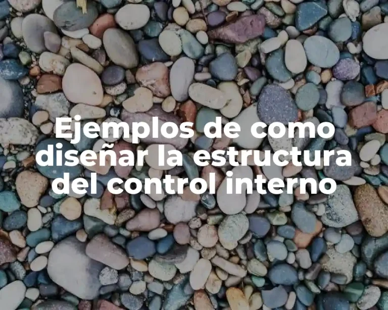 Ejemplos de como diseñar la estructura del control interno