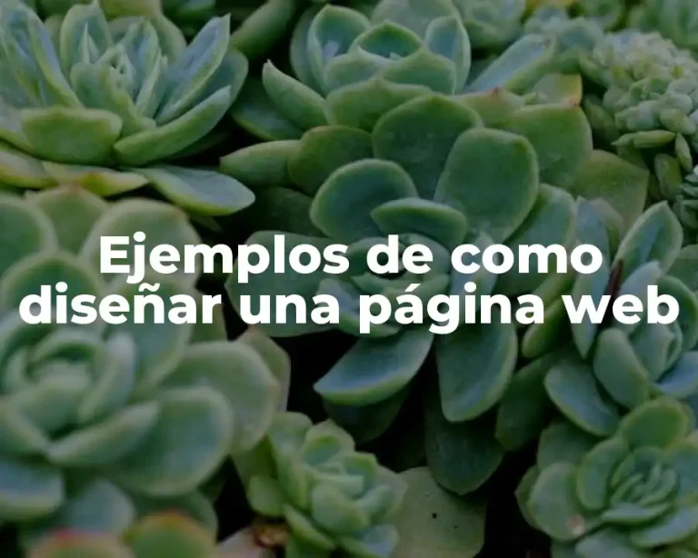 Ejemplos de como diseñar una página web