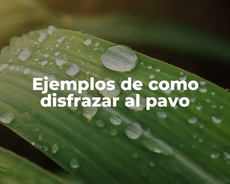 Ejemplos de como disfrazar al pavo