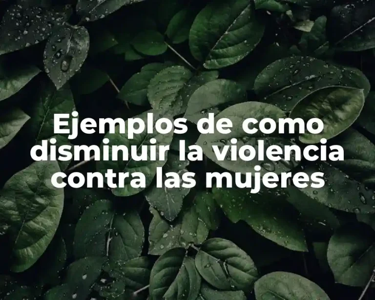 Ejemplos de como disminuir la violencia contra las mujeres