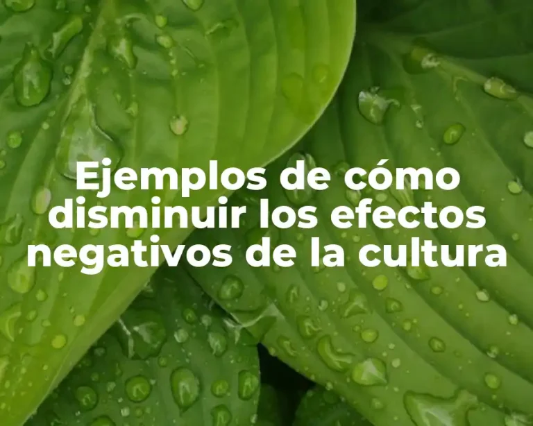 Ejemplos de cómo disminuir los efectos negativos de la cultura