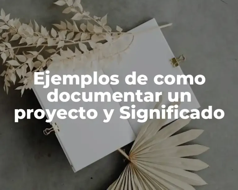 Ejemplos de como documentar un proyecto y Significado
