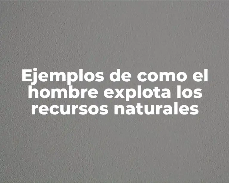 Ejemplos de como el hombre explota los recursos naturales