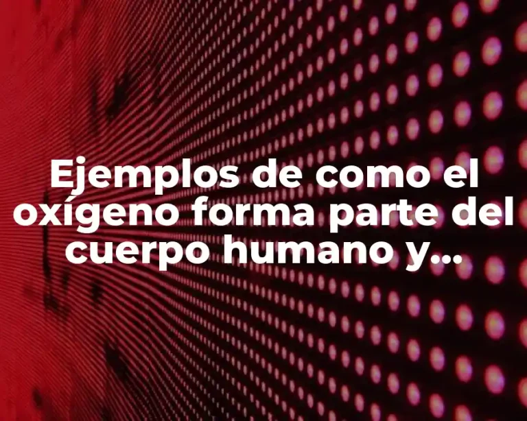 Ejemplos de como el oxígeno forma parte del cuerpo humano y Significado