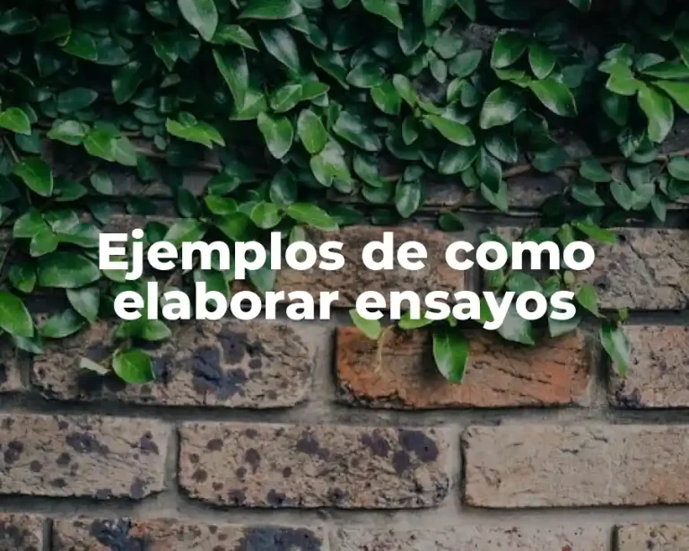 Ejemplos de como elaborar ensayos