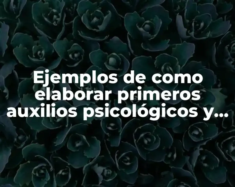 Ejemplos de como elaborar primeros auxilios psicológicos y Significado