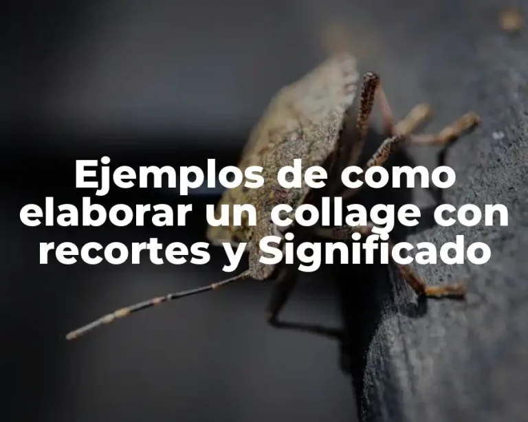 Ejemplos de como elaborar un collage con recortes y Significado