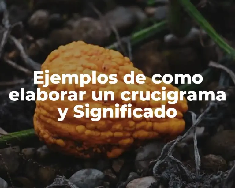 Ejemplos de como elaborar un crucigrama y Significado