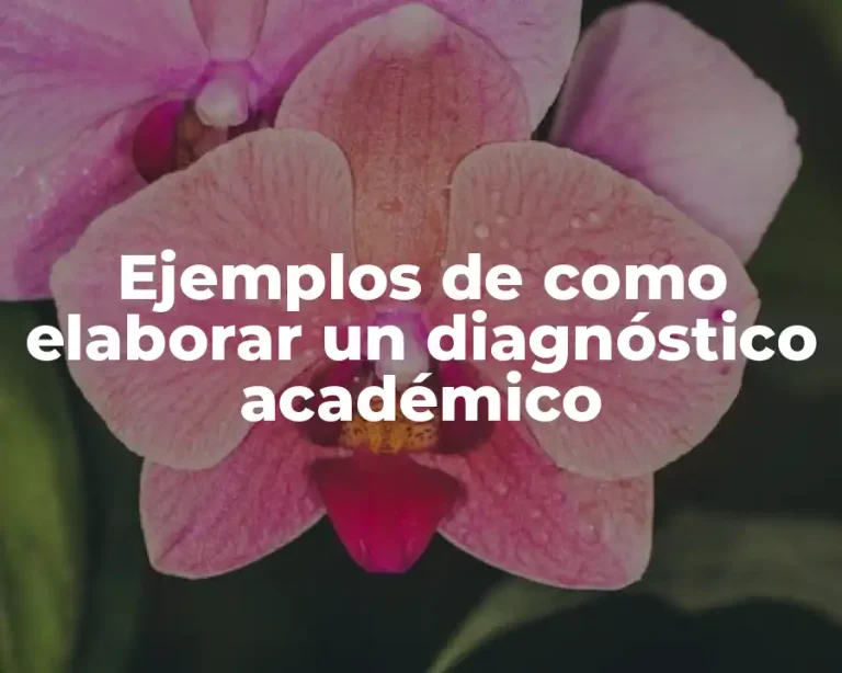 Ejemplos de como elaborar un diagnóstico académico