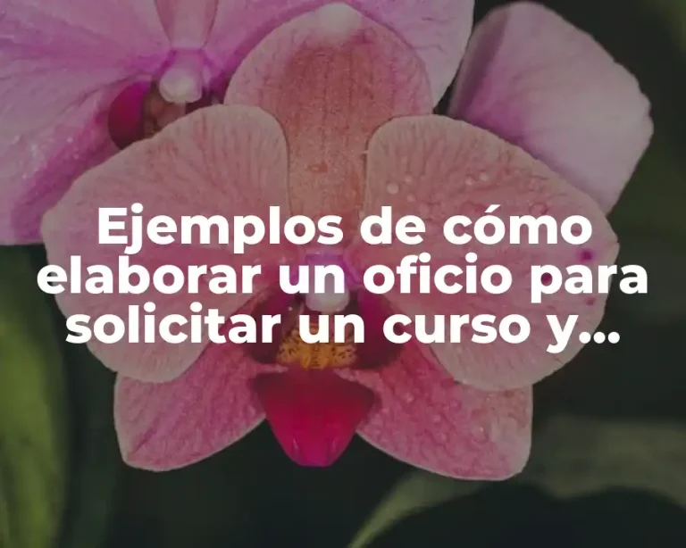 Ejemplos de cómo elaborar un oficio para solicitar un curso y Significado