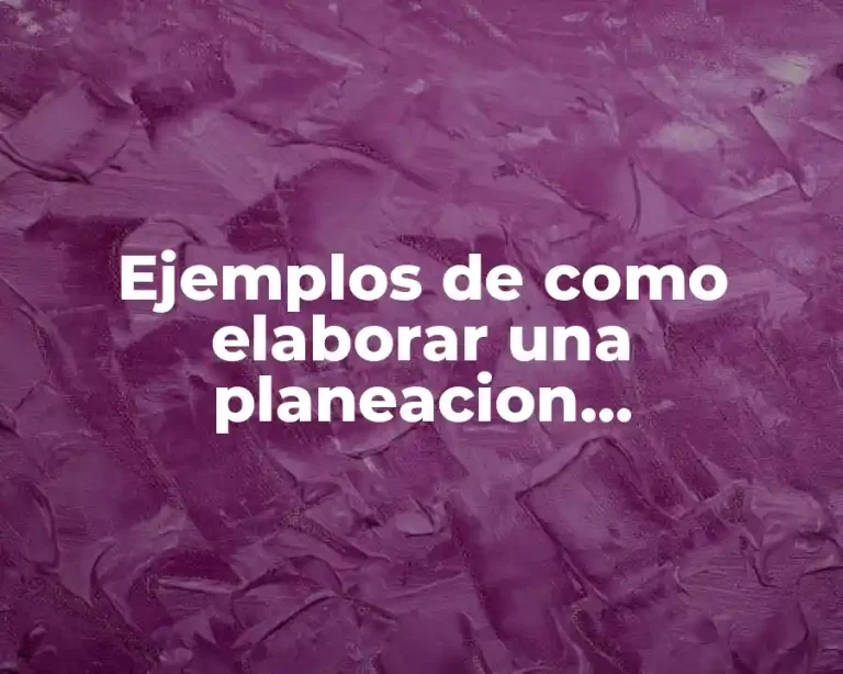 Ejemplos de como elaborar una planeacion argumentada