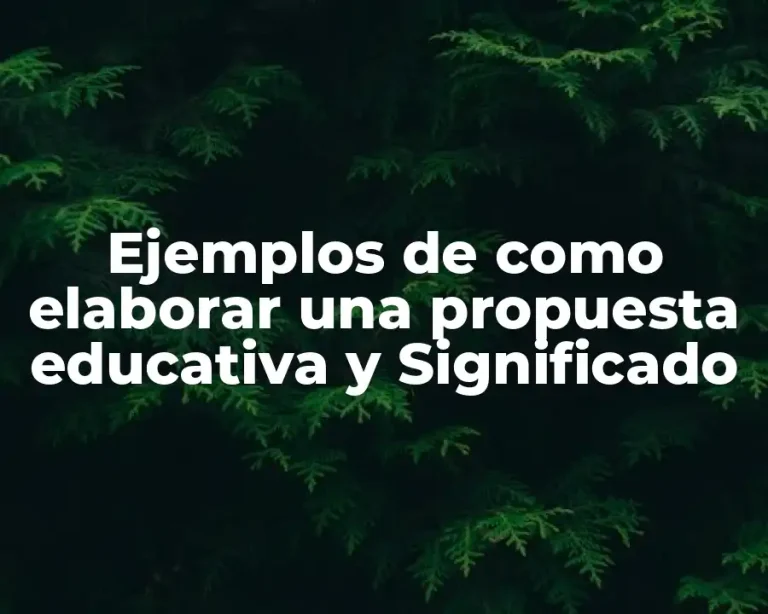 Ejemplos de como elaborar una propuesta educativa y Significado