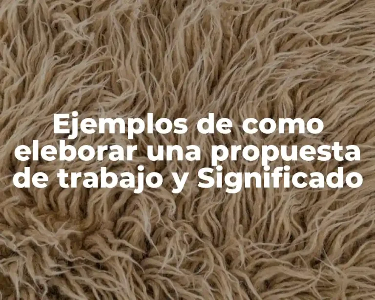 Ejemplos de como eleborar una propuesta de trabajo y Significado