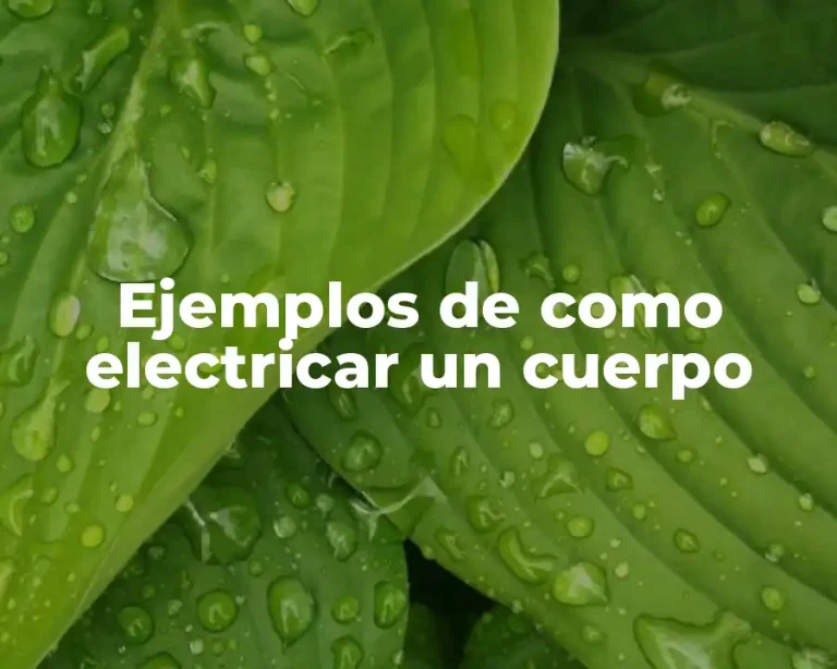 Ejemplos de como electricar un cuerpo