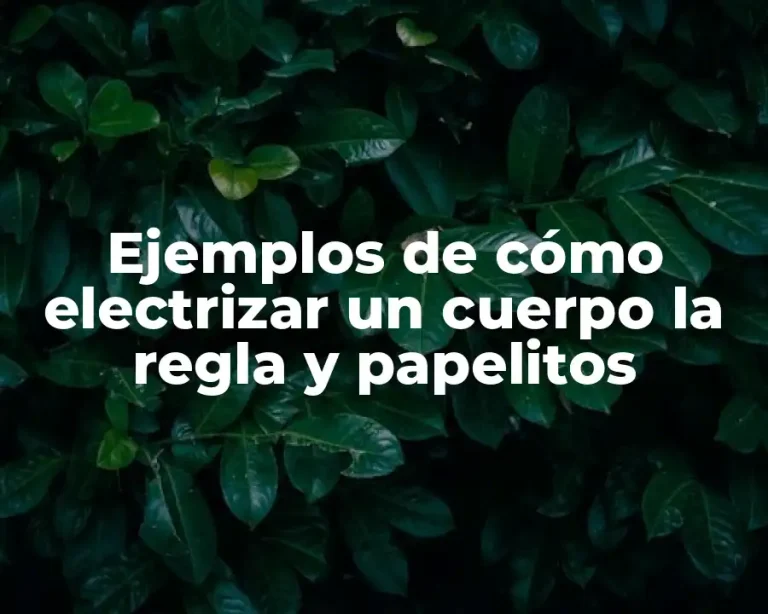 Ejemplos de cómo electrizar un cuerpo la regla y papelitos