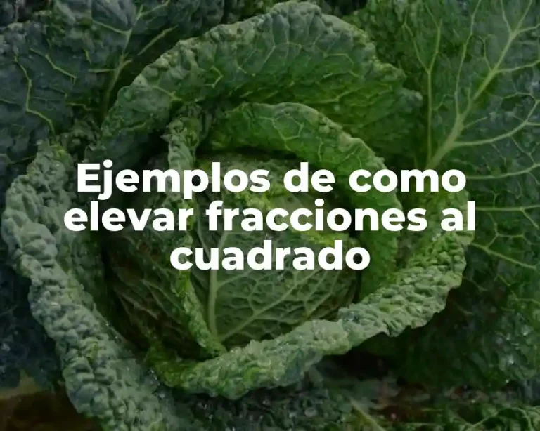 Ejemplos de como elevar fracciones al cuadrado