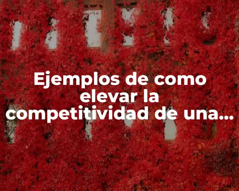 Ejemplos de como elevar la competitividad de una lavanderia