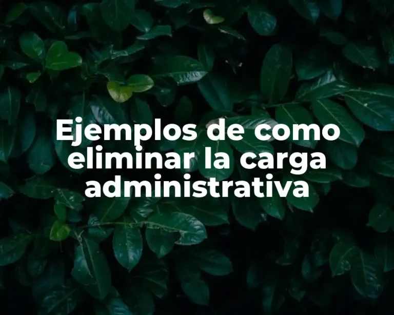 Ejemplos de como eliminar la carga administrativa