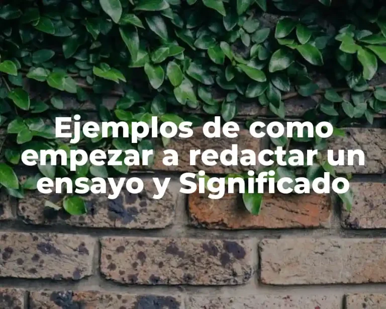 Ejemplos de como empezar a redactar un ensayo y Significado
