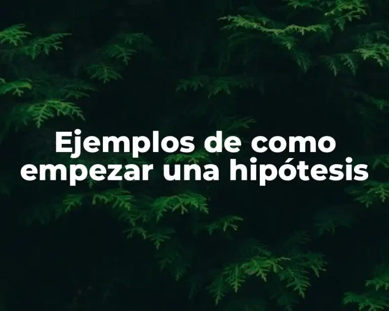 Ejemplos de como empezar una hipótesis