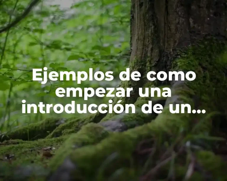 Ejemplos de como empezar una introducción de un trabajo