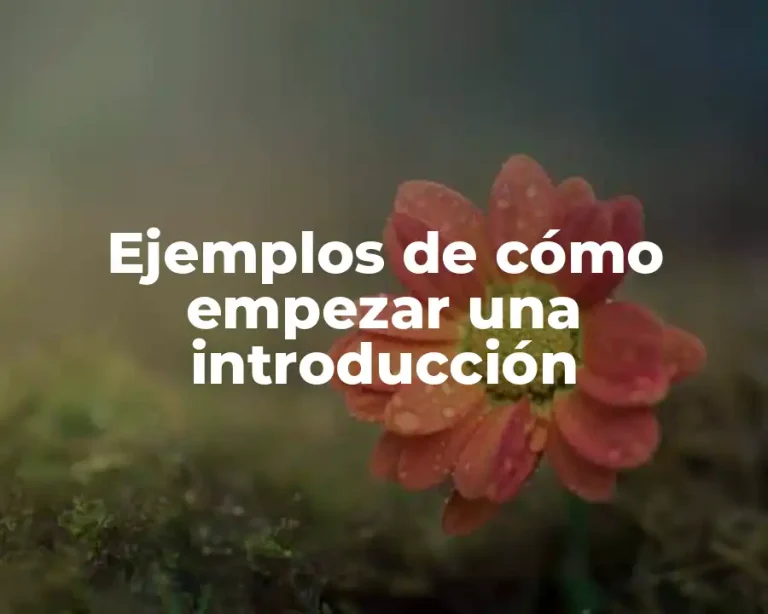 Ejemplos de cómo empezar una introducción