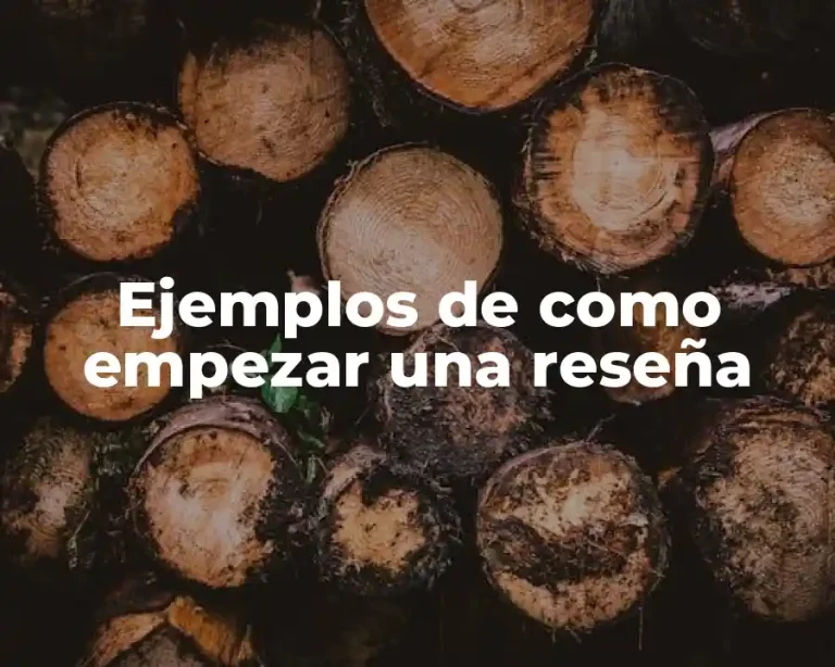 Ejemplos de como empezar una reseña