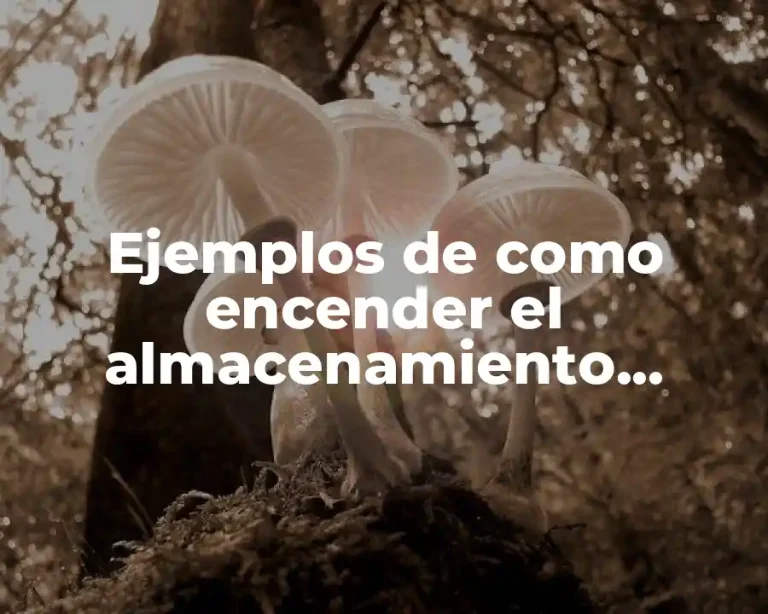 Ejemplos de como encender el almacenamiento masivo y Significado