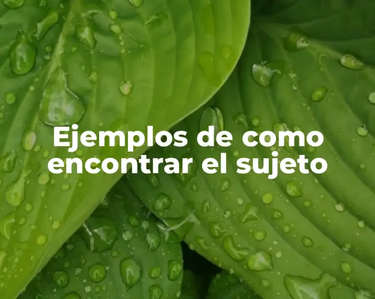 Ejemplos de como encontrar el sujeto
