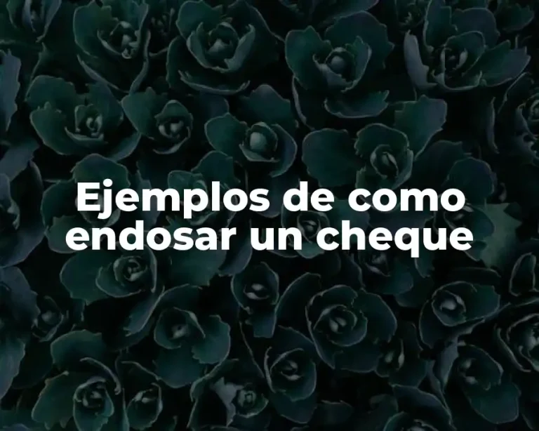 Ejemplos de como endosar un cheque